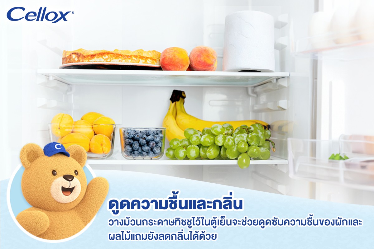 แชร์เคล็ดลับและเทคนิคดี ๆ จากน้องหมีเซลล็อกซ์ ใครมีกระดาษทิชชูเซลล็อกซ์รุ่นหนา 3 ชั้น
